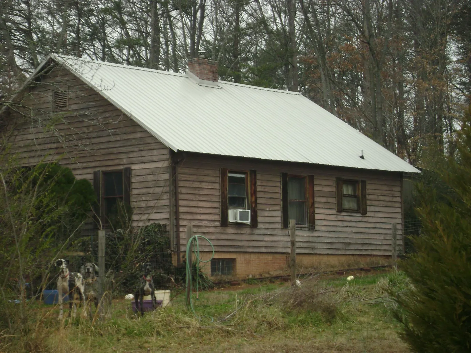 White metal roof on an old wood sided farmhouse, from a Asphalt Shingle Roof Repair job in New Athens